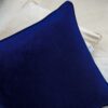 Cuscino Quadrato in Velluto con Cordonetto Preziosa Home