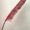 Pampas Ramo di Piume Decorativo Altezza 110 Cm