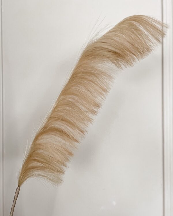 Pampas Ramo di Piume Decorativo Altezza 110 Cm