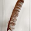 Pampas Ramo di Piume Decorativo Altezza 110 Cm-9517