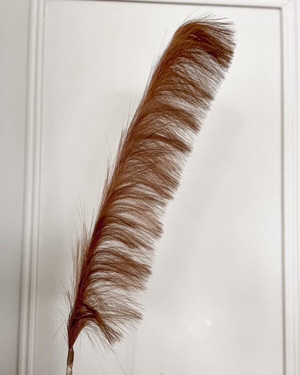 Pampas Ramo di Piume Decorativo Altezza 110 Cm-9517