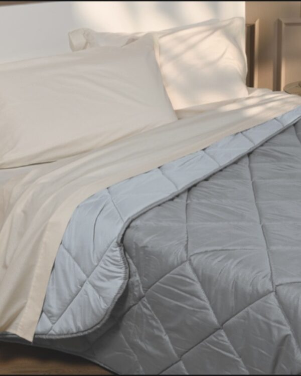 Trapunta Piumone Indicolor Double Face Grigio e Grigio Cemento