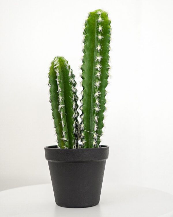 Cactus in Vaso Pianta Artificiale h 38 cm