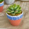 Vasetto Decorativo in Terracotta con Bordo Maioliche con Pianta Finta