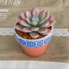 Vasetto Decorativo in Terracotta con Bordo Maioliche con Pianta Finta