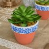 Vasetto Decorativo in Terracotta con Bordo Maioliche con Pianta Finta