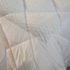 Trapunta Piumone Invernale Giulia in Velluto