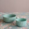 Ciotola A Rilievo Aruba Stoneware Grande e Piccola Colori PastelloTognana