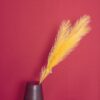 Ramo Pampas Piume a Stelo Singolo Ocra Tortora Rosa o Petrolio