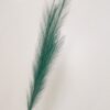 Ramo Pampas Piume a Stelo Singolo Ocra Tortora Rosa o Petrolio