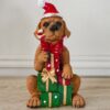 Cagnolino Con Pacchi Regalo e Cappellino Natalizio