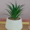 Piantina Grassa Artificiale Con Vasetto in Ceramica Decorativa