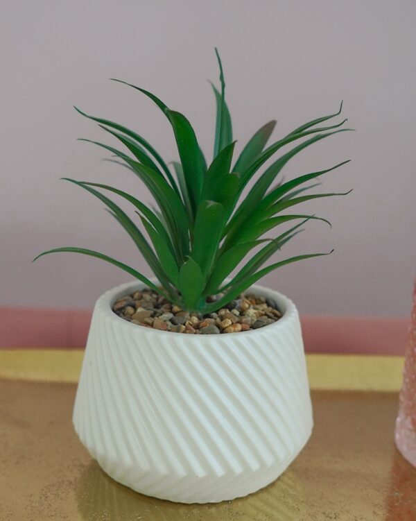 Piantina Grassa Artificiale Con Vasetto in Ceramica Decorativa