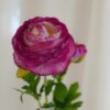Ranuncolo Artificiale Fiore con Bocciolo Gasper