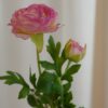 Ranuncolo Artificiale Fiore con Bocciolo Gasper
