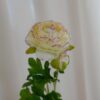 Ranuncolo Artificiale Fiore con Bocciolo Gasper