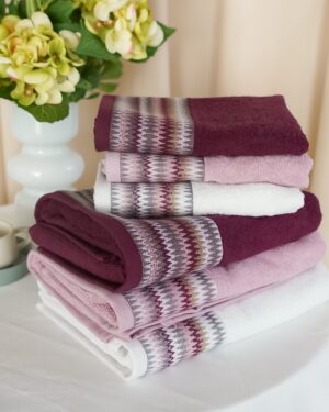 Set 2 Asciugamani Oslo Viso e Ospite Vingi Ricami in Spugna di Cotone 100%