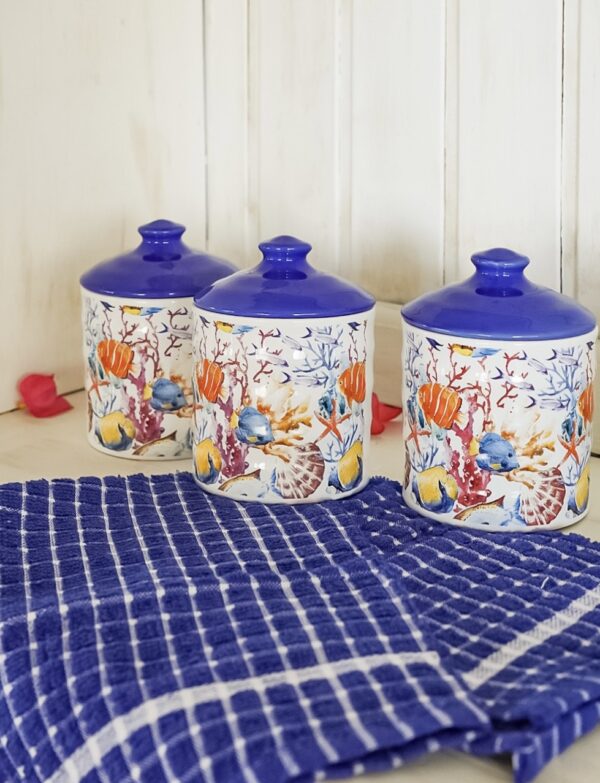 Tris Barattoli in Ceramica Con Tappo Ermetico con Tema Pesci e Corallo Tappo Blu