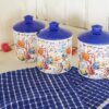 Tris Barattoli in Ceramica Con Tappo Ermetico con Tema Pesci e Corallo Tappo Blu