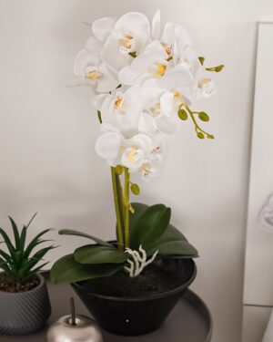 Vaso Con Orchidea Artificiale Bianca o Magenta