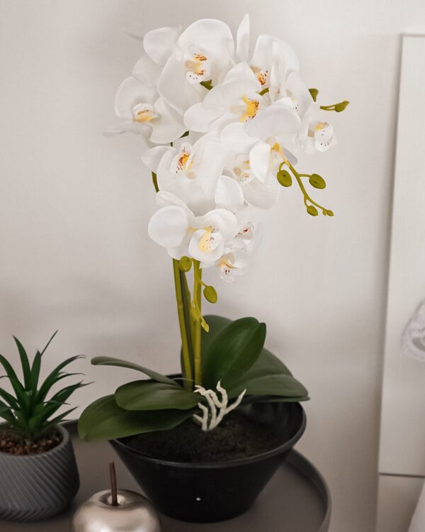Vaso Con Orchidea Artificiale Bianca o Magenta