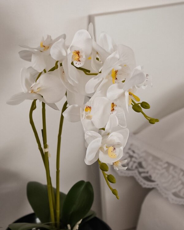 Vaso Con Orchidea Artificiale Bianca o Magenta