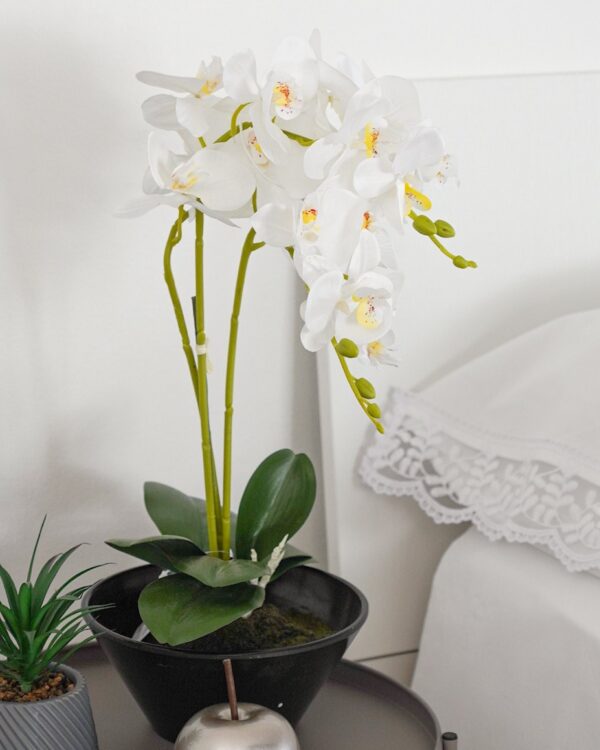 Vaso Con Orchidea Artificiale Bianca o Magenta