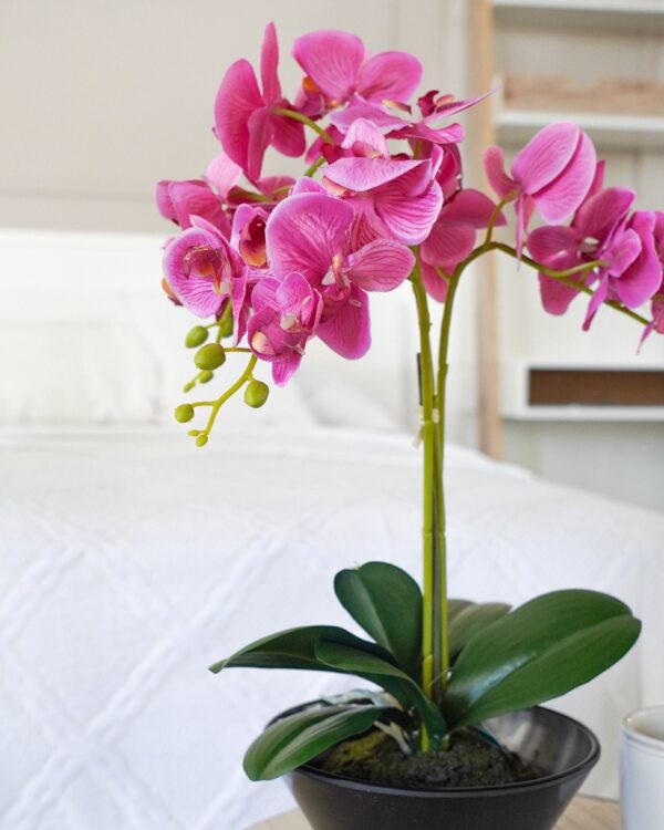 Vaso Con Orchidea Artificiale Bianca o Magenta
