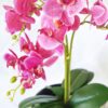 Vaso Con Orchidea Artificiale Bianca o Magenta