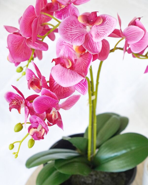 Vaso Con Orchidea Artificiale Bianca o Magenta