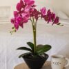 Vaso Con Orchidea Artificiale Bianca o Magenta