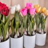 Vaso Bianco in Melamina Con Tulipani Artificiali gialli Rosa Rosso Screziato e Bianchi