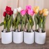 Vaso Bianco in Melamina Con Tulipani Artificiali gialli Rosa Rosso Screziato e Bianchi