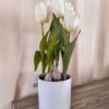 Vaso Bianco in Melamina Con Tulipani Artificiali gialli Rosa Rosso Screziato e Bianchi
