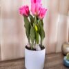 Vaso Bianco in Melamina Con Tulipani Artificiali gialli Rosa Rosso Screziato e Bianchi