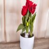 Vaso Bianco in Melamina Con Tulipani Artificiali gialli Rosa Rosso Screziato e Bianchi