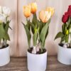 Vaso Bianco in Melamina Con Tulipani Artificiali gialli Rosa Rosso Screziato e Bianchi