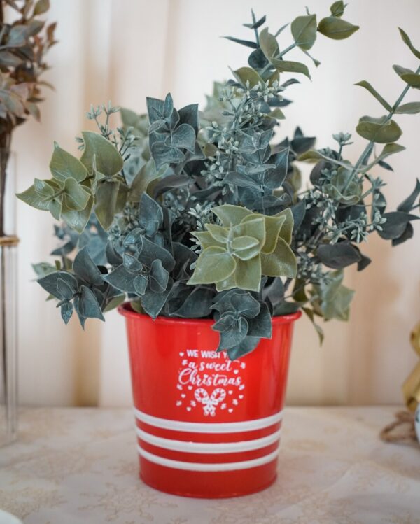 Cespuglio di Eucalipto Grigio Verde 46 cm
