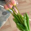 Mazzettino da 5 Tulipani in Gomma Effetto Realistico