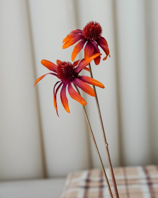 Fiore Artificiale Rudbeckia 55 Cm Arancio