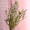 Set Fiori Di Campo Bianco In Plastica