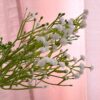 Set Fiori Di Campo Bianco In Plastica