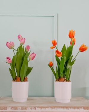 Piantina di Tulipani Artificiali Arancio o Rosa Con Foglie