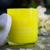 Candela Fluo Orange e Poppies e Amalfi Citrus Mercury in Vetro con Coperchio-20121